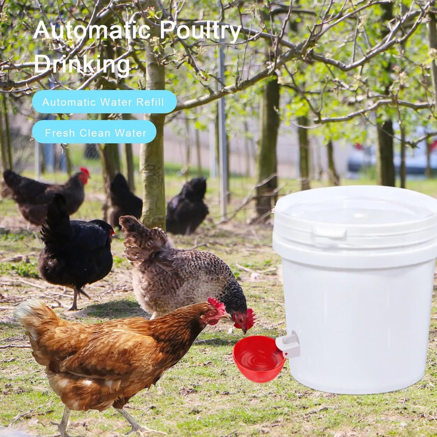 Automatic Chicken Waterer (10-Pack)
